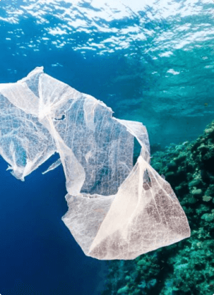 eco