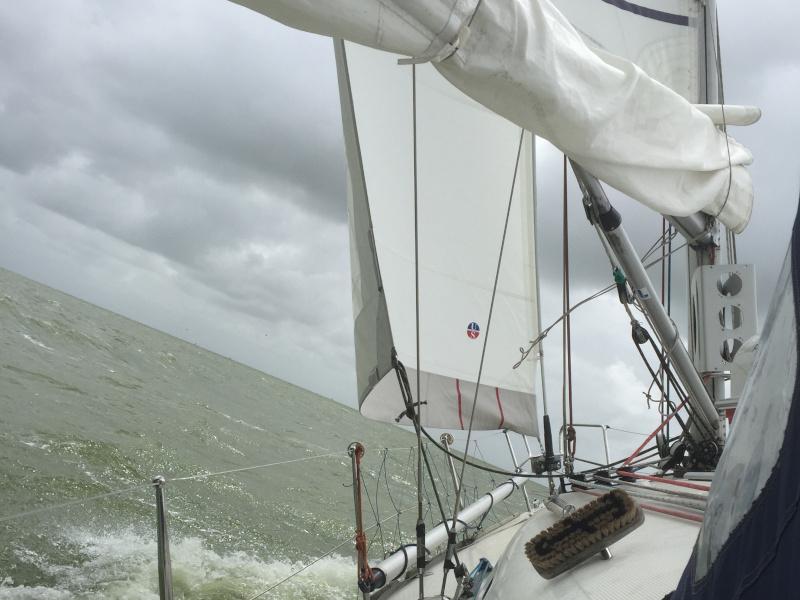 First 36.7 from Venturi-Sailing in Yerseke