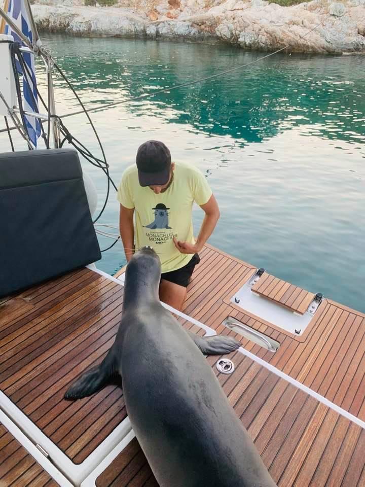 Sun Odyssey 440 from Odyssey Sailing in Volos