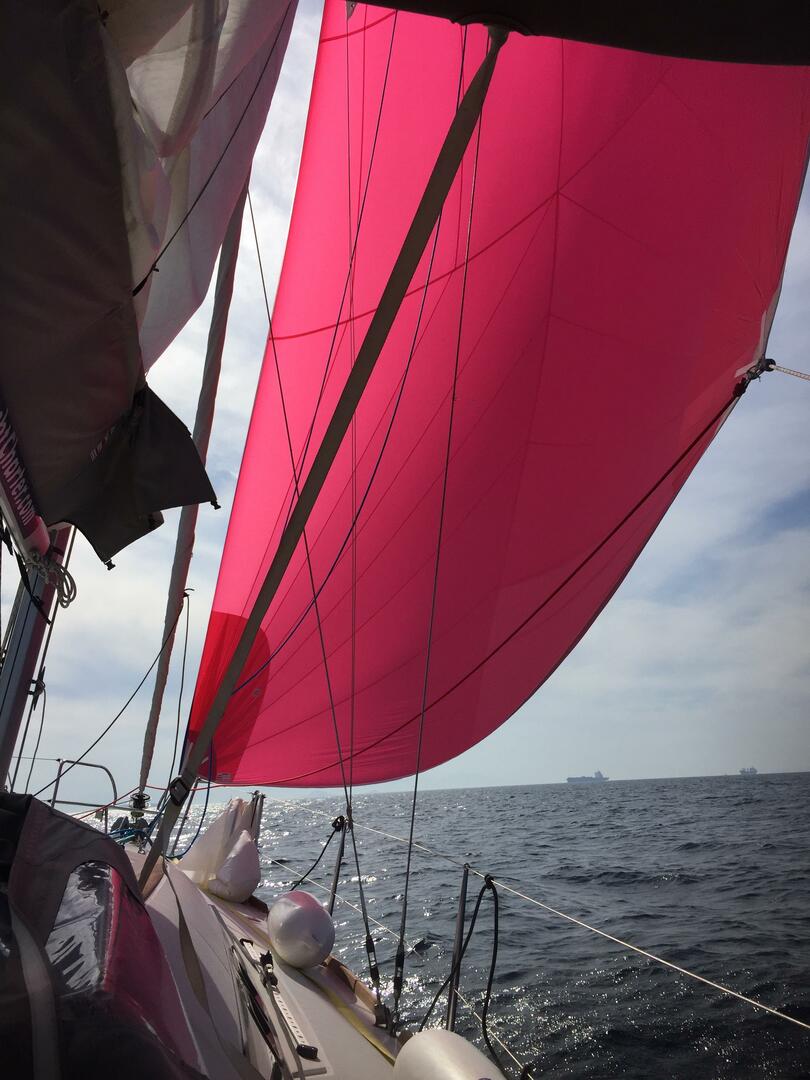 WIND OF CHANGE (New 2023 full batten mainsail, 2023 furling genoa, 2023 bimini, 2023 sprayhood) | Oceanis 37