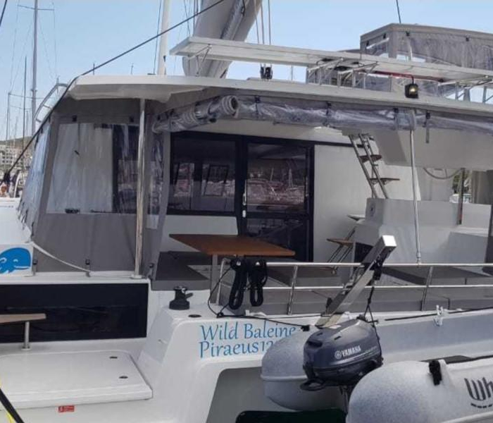 Wild Baleine | Astrea 42 photo 1