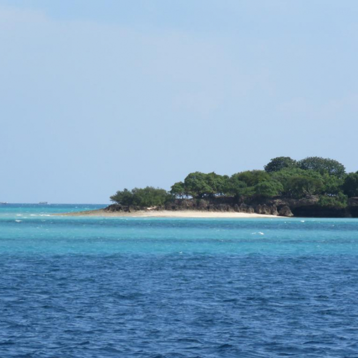 JAUDANIC III | Leopard 48 photo 16