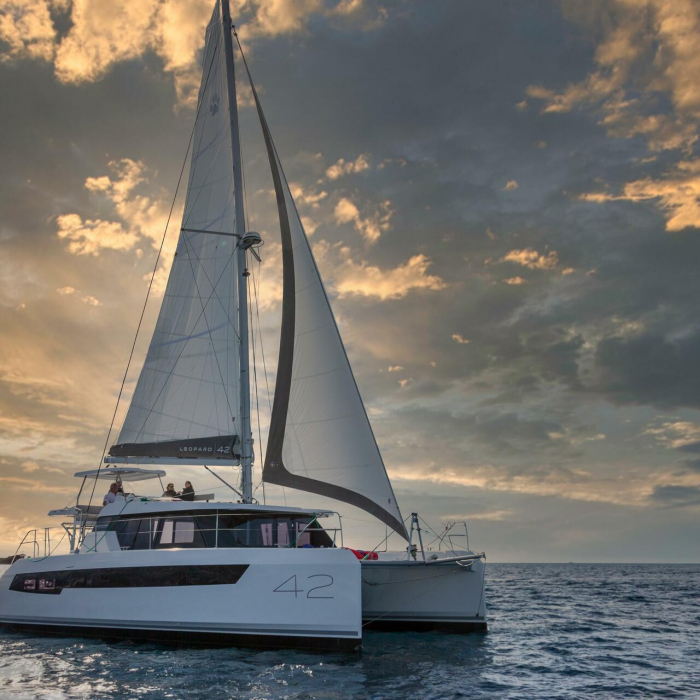 Leopard 42 | Leopard 42 photo 1