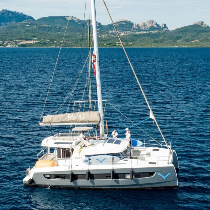 Ziphius | Bali 4.2 photo 22