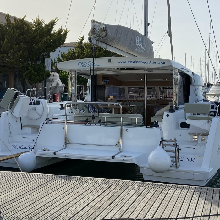 The Maestro Cat | Bali Catsmart photo 1