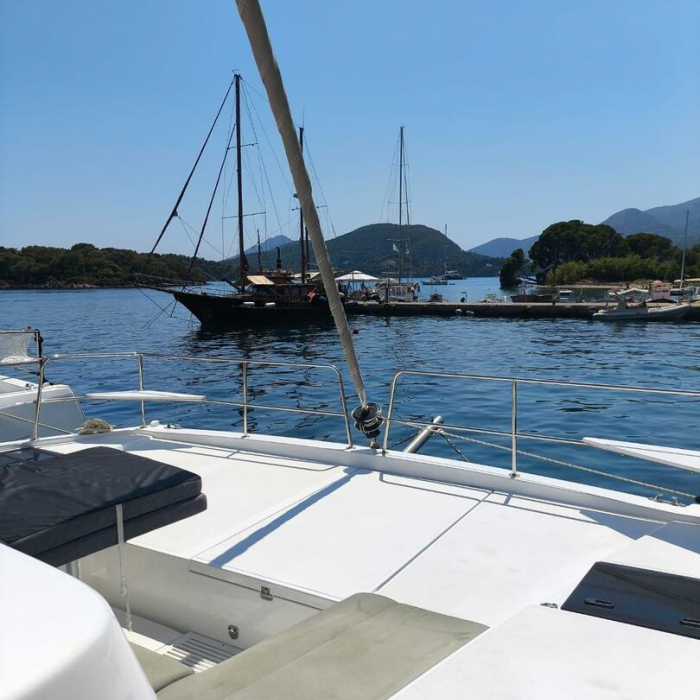 Timeless | Bali Catsmart photo 40