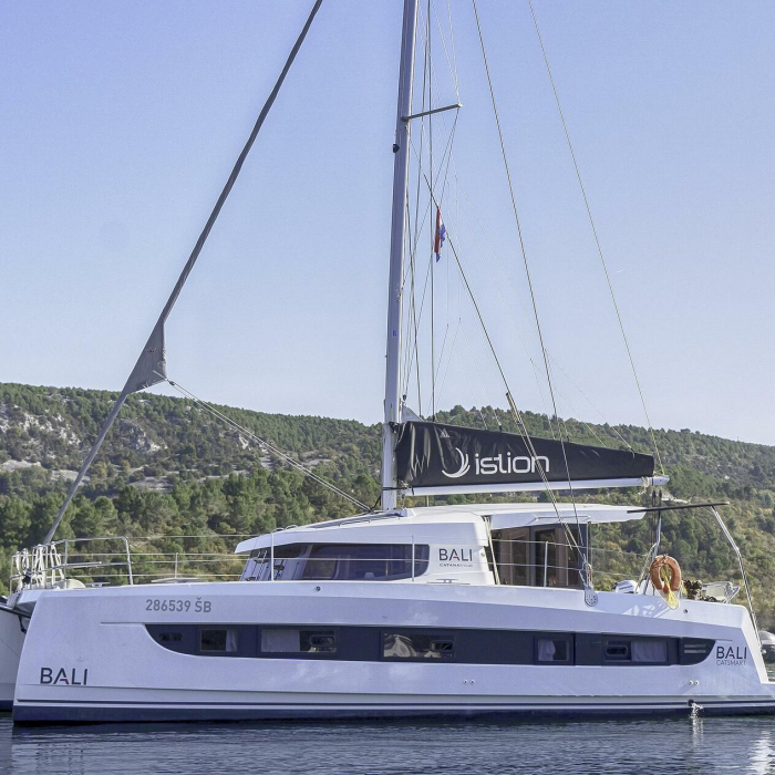 First Toy | Bali Catsmart photo 12