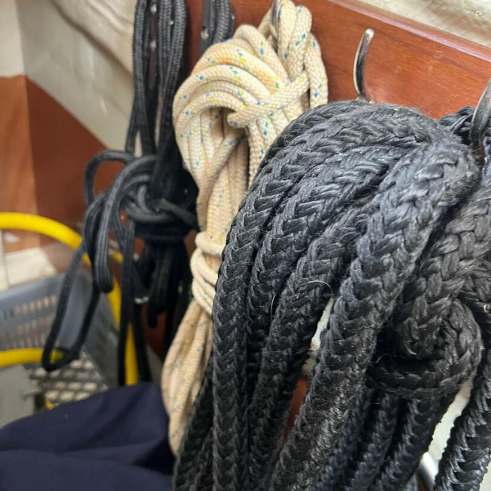 Charlie | Bavaria Cruiser 34 photo 3