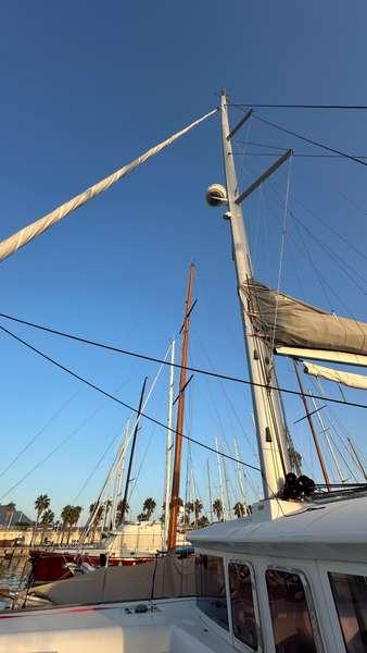 Branchia | Lagoon 450 Fly photo 23