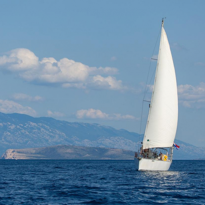 Amica | Dolphin 50 photo 24