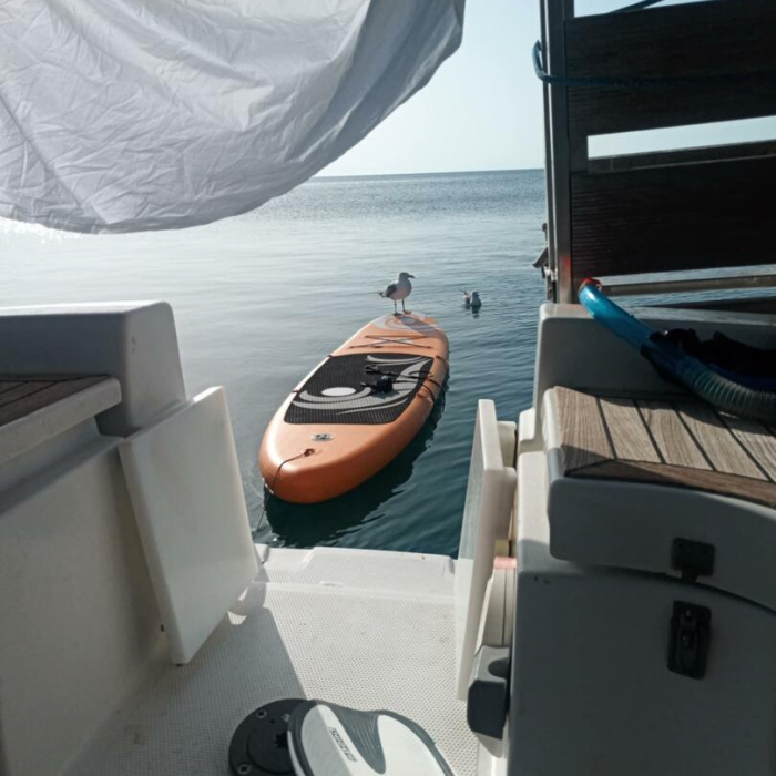 9 Muses | Hanse 342 photo 3