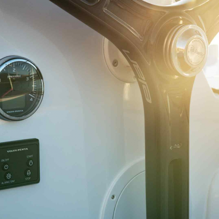 Liana | Elan Impression 40.1 photo 12