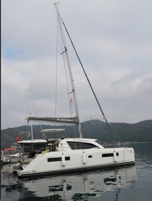 Panda Joy | Leopard 40 photo 1