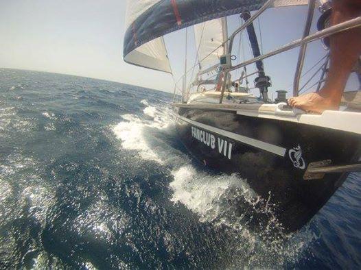 FanClub VII | Ocean Star 51.2 photo 3