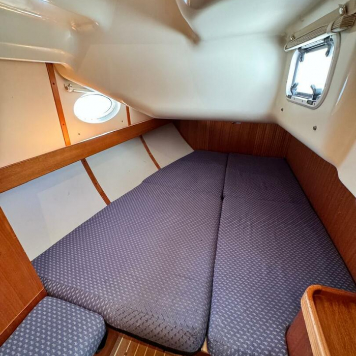 Sinje Sanje | Elan 384 Impression photo 13