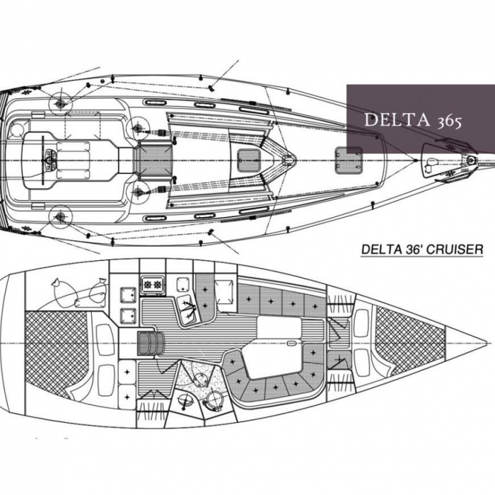 Damis Jolie | Delta 365 photo 11
