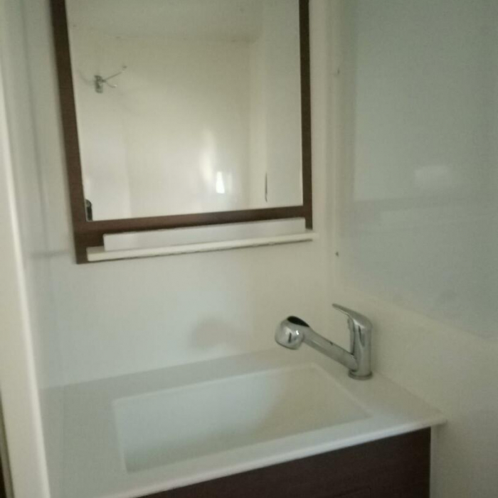 Freedom | Bali Catspace photo 57