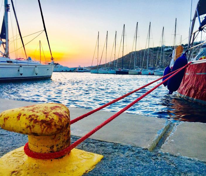 Jacosta | Alfa 51 photo 13