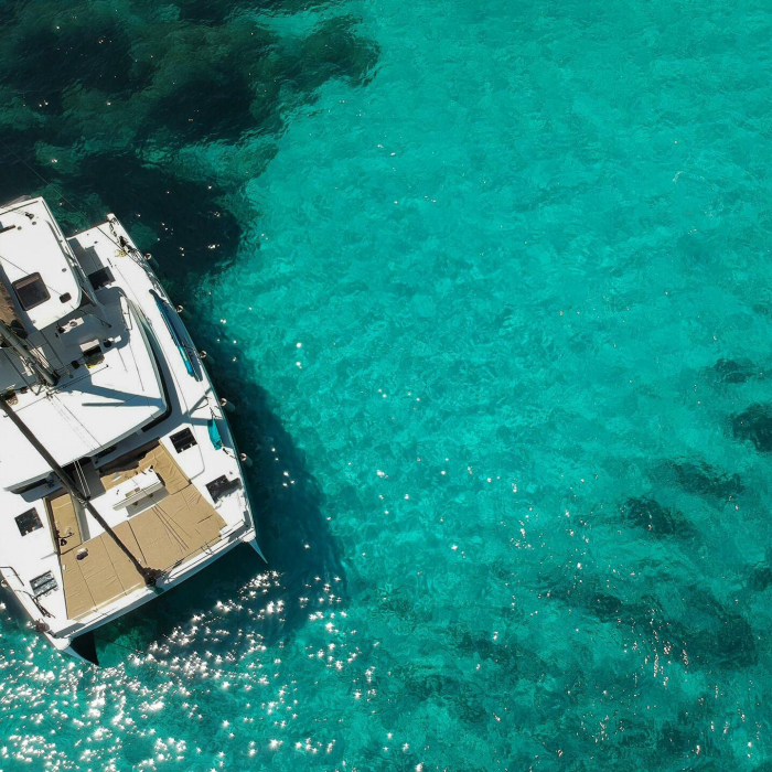 Grampus | Bali 4.6 photo 12