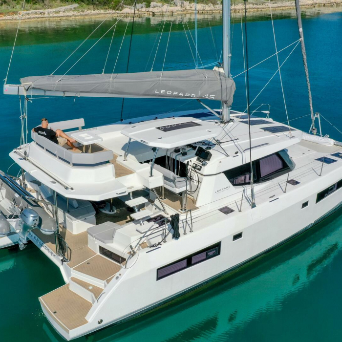 Manaphy | Leopard 45 photo 2