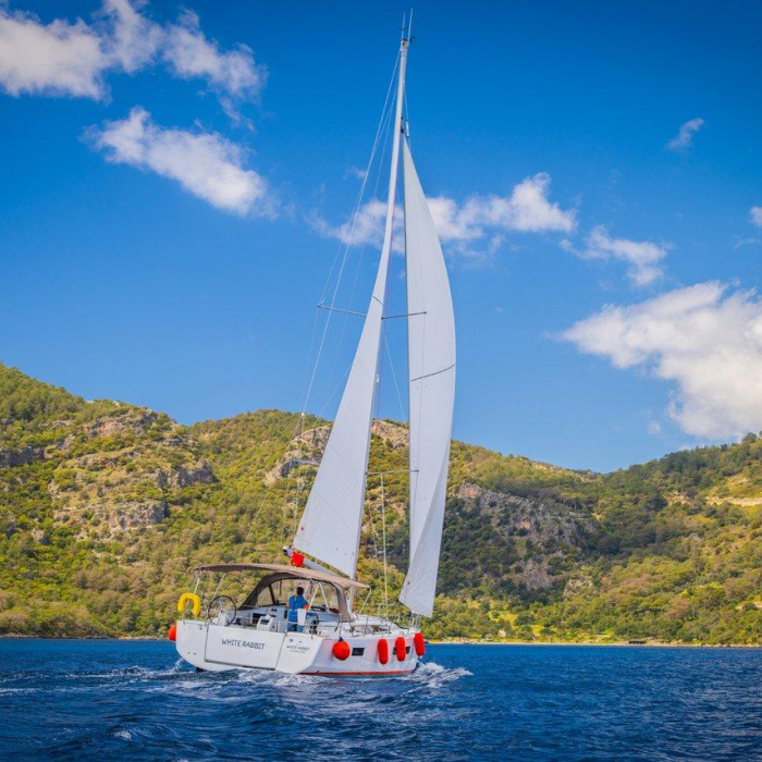 White Rabbit | Sun Odyssey 440 photo 39