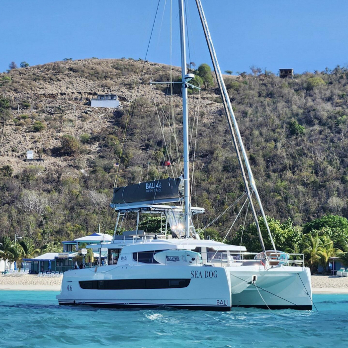 Sea Dog - FF | Bali 4.6 photo 3