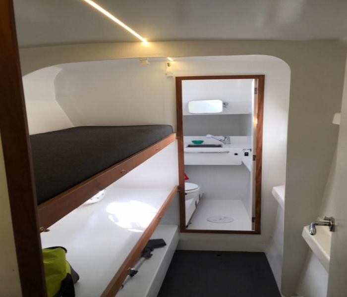 Castor | TS 42 photo 24