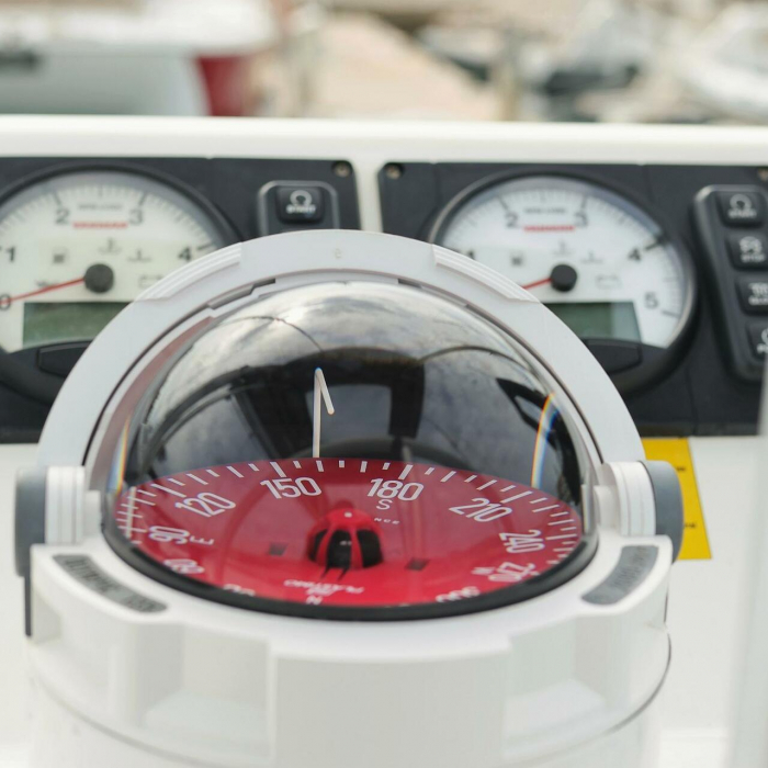 Hi Friends | Bali Catspace photo 23