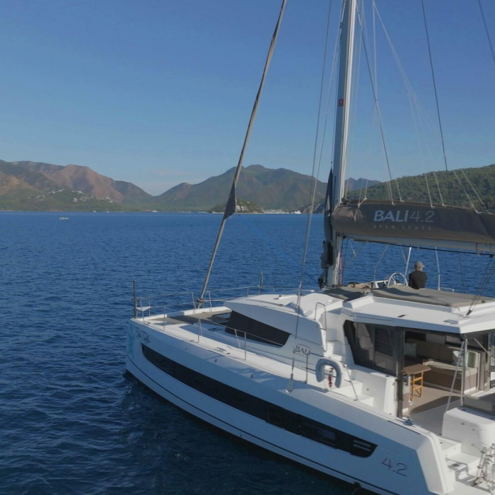 Gemini | Bali Catspace photo 2