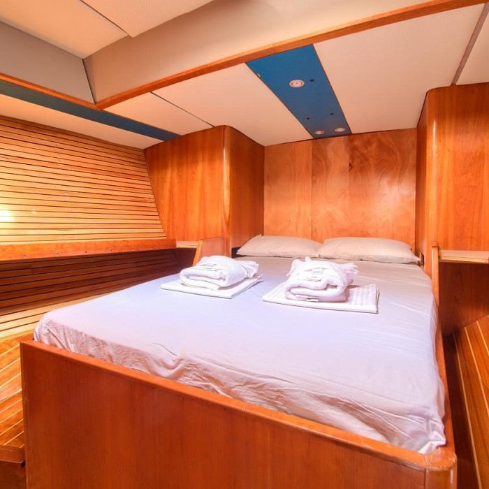 Amica | Dolphin 50 photo 13