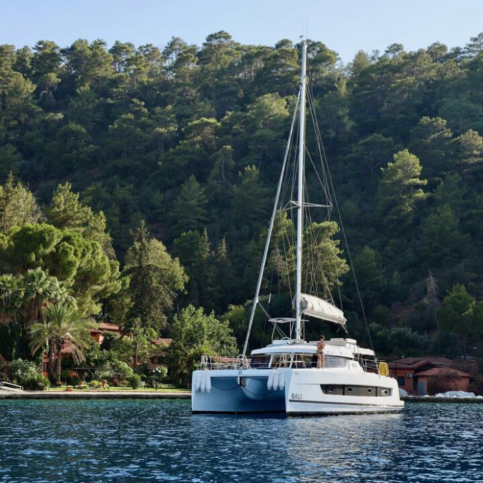 Rea | Bali Catspace photo 7