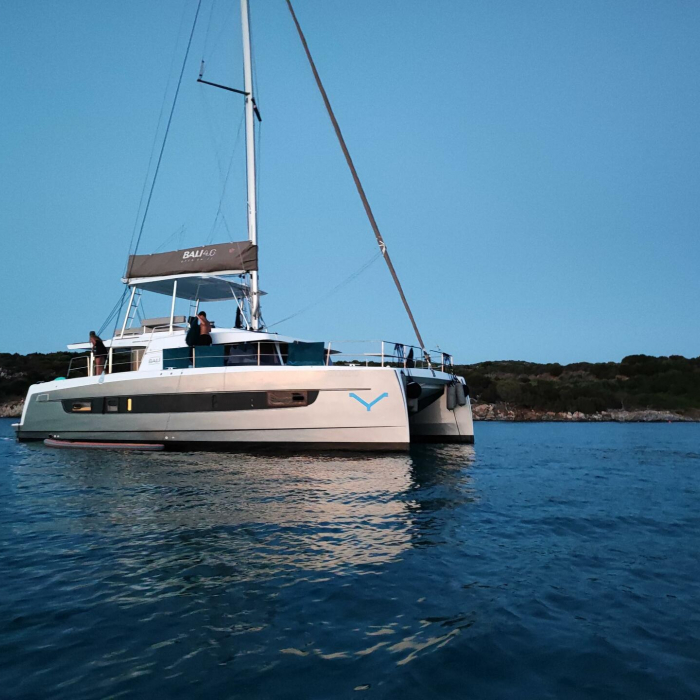 Grampus | Bali 4.6 photo 52