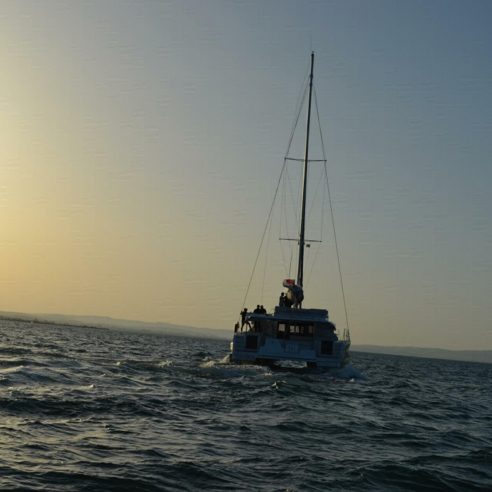 Indigo | Aventura 45 photo 2