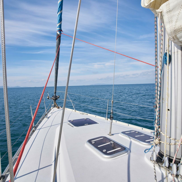 Blu Bite | Grand Soleil 43 photo 3