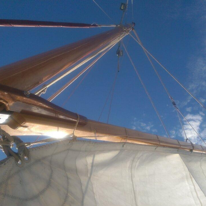 Black Bird | Pilot Cutter photo 6