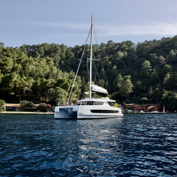 Rea | Bali Catspace photo 8