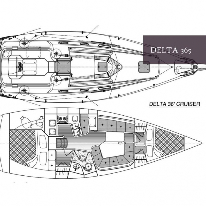 Akanni | Delta 365 photo 6