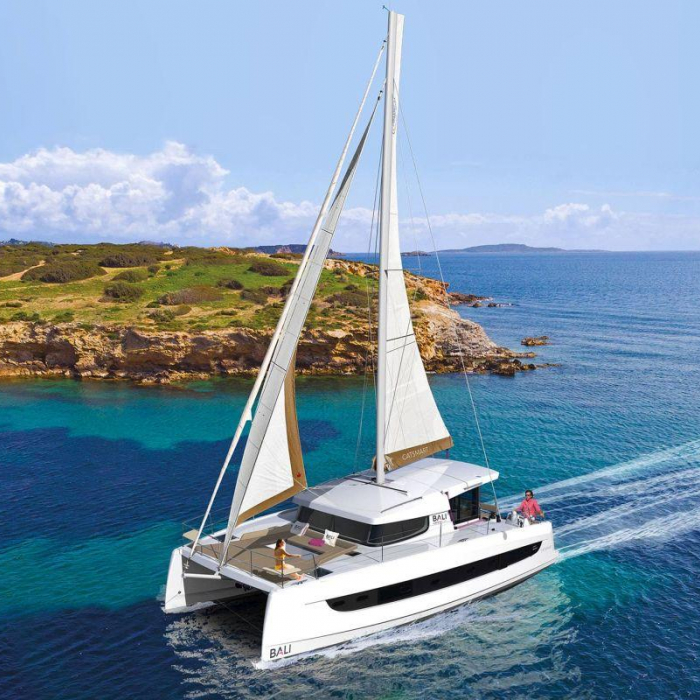 CHERRY BLOSSOM | Bali Catsmart photo 1