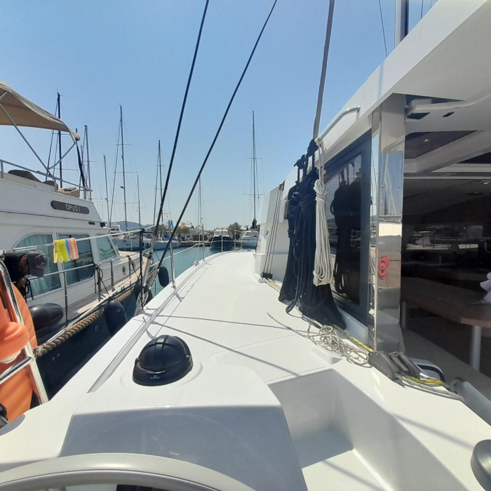 Marestrella (Pax 10) | Bali Catsmart photo 10