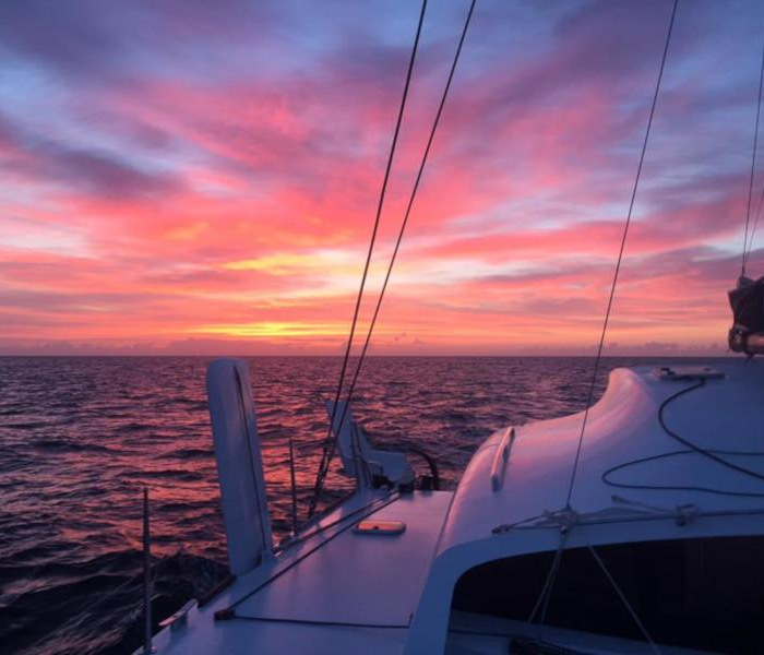 Castor | TS 42 photo 12