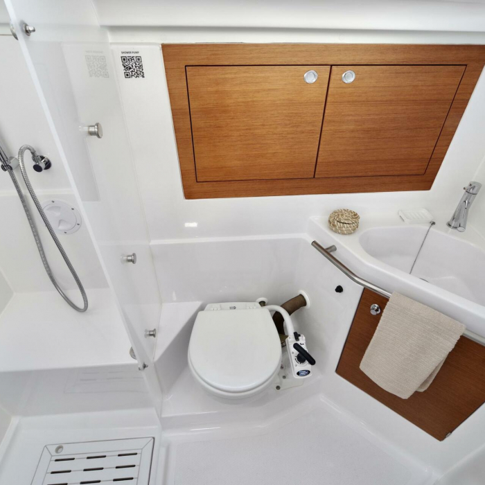 Corgi | Elan Impression 45.1 photo 5