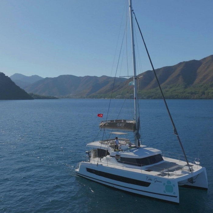 Ediba Gemini | Bali Catspace photo 3