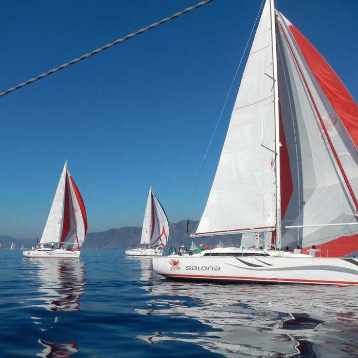 Race Dog | Salona 41 photo 1