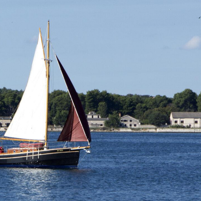 Black Bird | Pilot Cutter photo 6