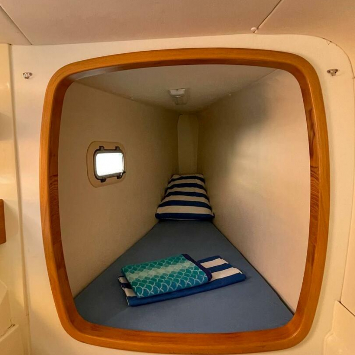 Emocean | Leopard 4300 photo 34