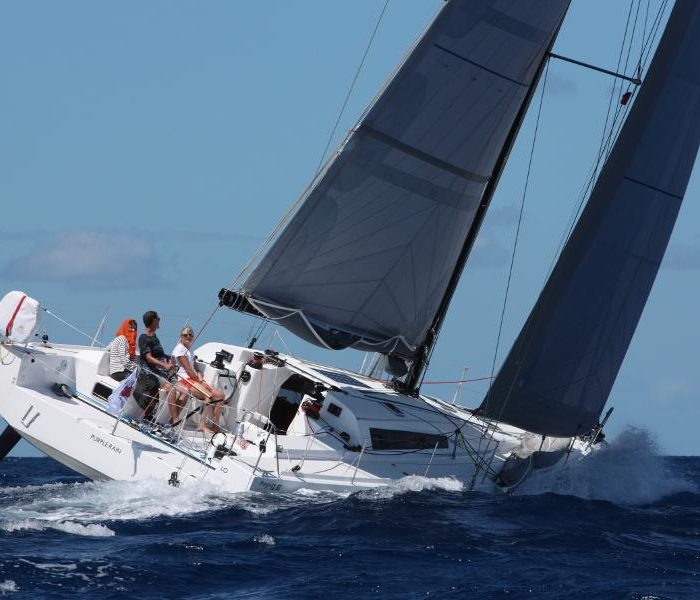 Purple Rain | Pogo 12.5 photo 2