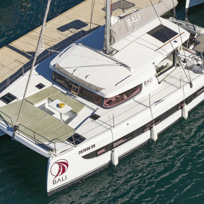 Arpina | Bali Catsmart photo 22