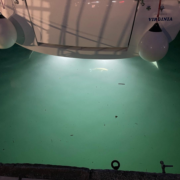 Virginia (A/C, Gen. 10kVA, Watermaker 160L/h, Electric Winch) | Sun Odyssey 440 photo 8