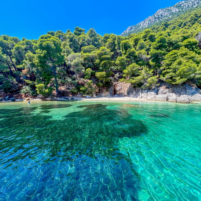 Artdrenalin | Sun Odyssey 479 Full refit 2024 photo 11