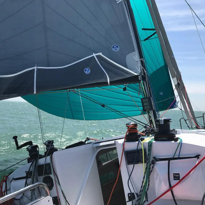 LITTLE WING | Pogo 36 photo 4